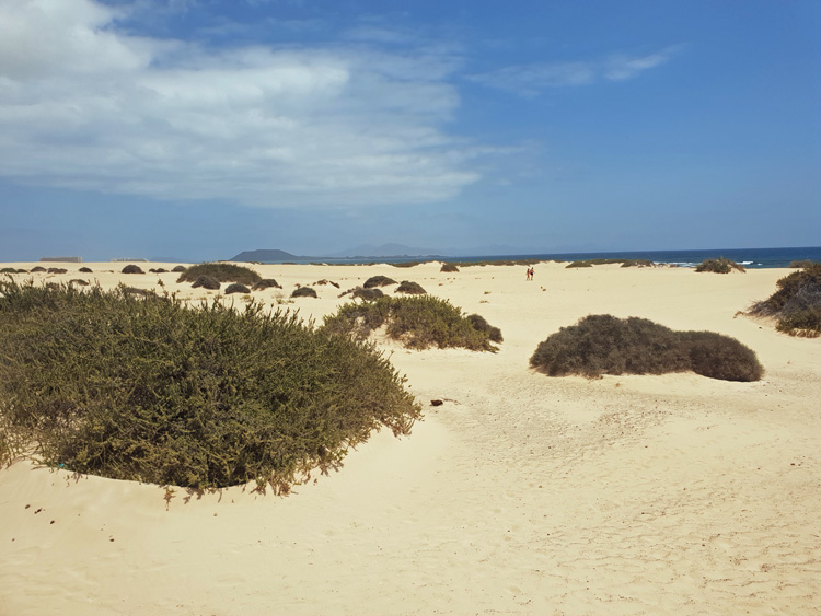 Fuerteventura