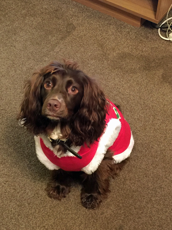 Dressed for Christmas: Betty