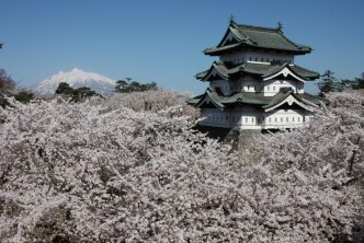 Hirosaki Cherry Blossom Festival ©Hirosaki City/©JNTO