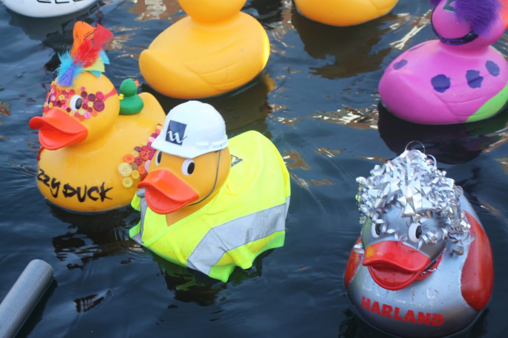 Quays Duck Race