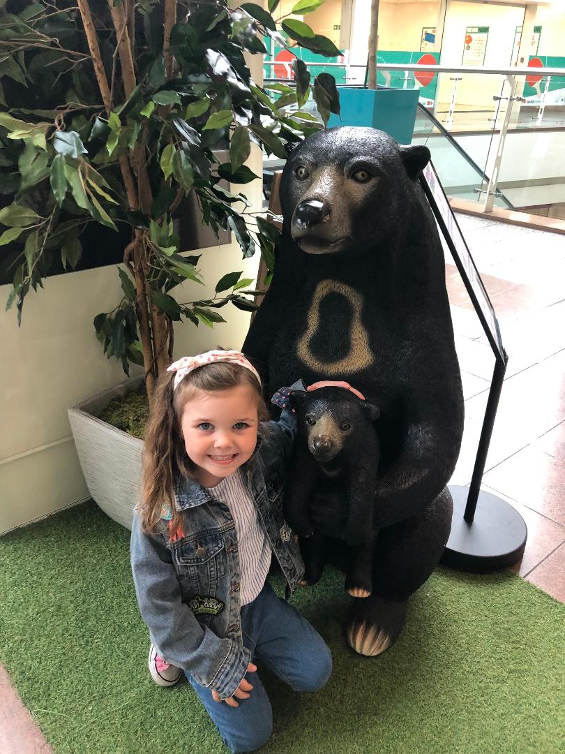 We're Going on a Bear Hunt Live Review Quays Life