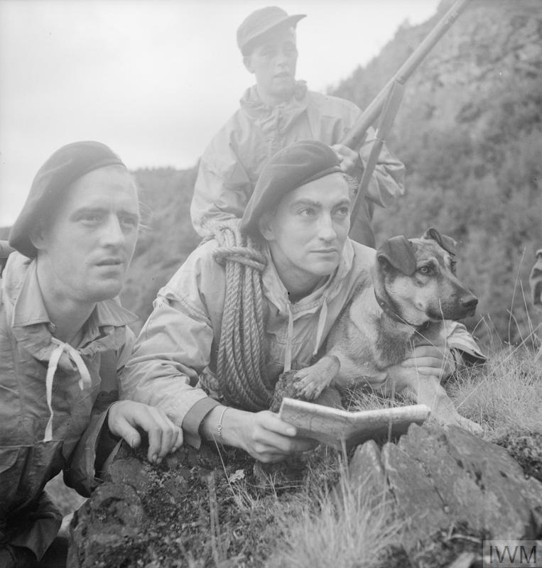 THE BRITISH ARMY IN BRITAIN, 1939-1945 (H 32108) Commando troops, members of a first party to reach the cliff top, with their dog during training exercises in mountain terrain, probably in Scotland, 20 August 1943. Copyright: © IWM. 