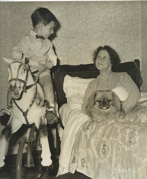 Martin Thomasson aged 3 years with his Nanna and her Pekingese dog