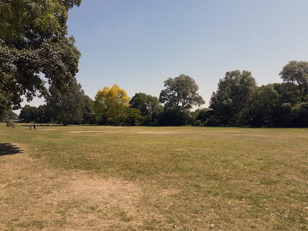 Open space in Longford Park