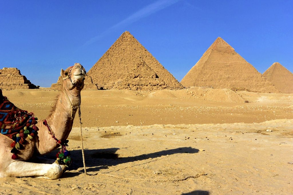 Pyramid and camel in Egypt