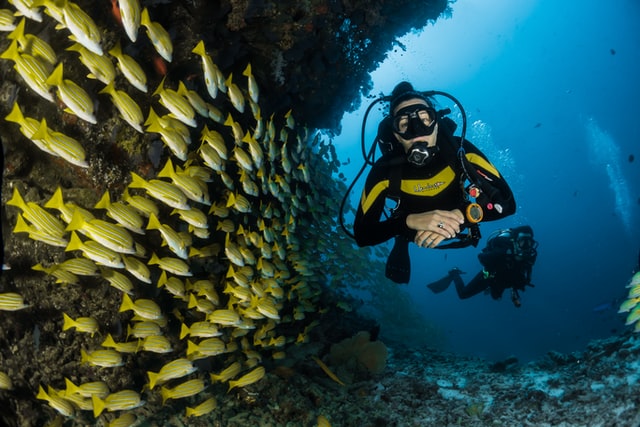 Divers in the Maldives. Photo by Sebastian Pena Lambarri on Unsplash
