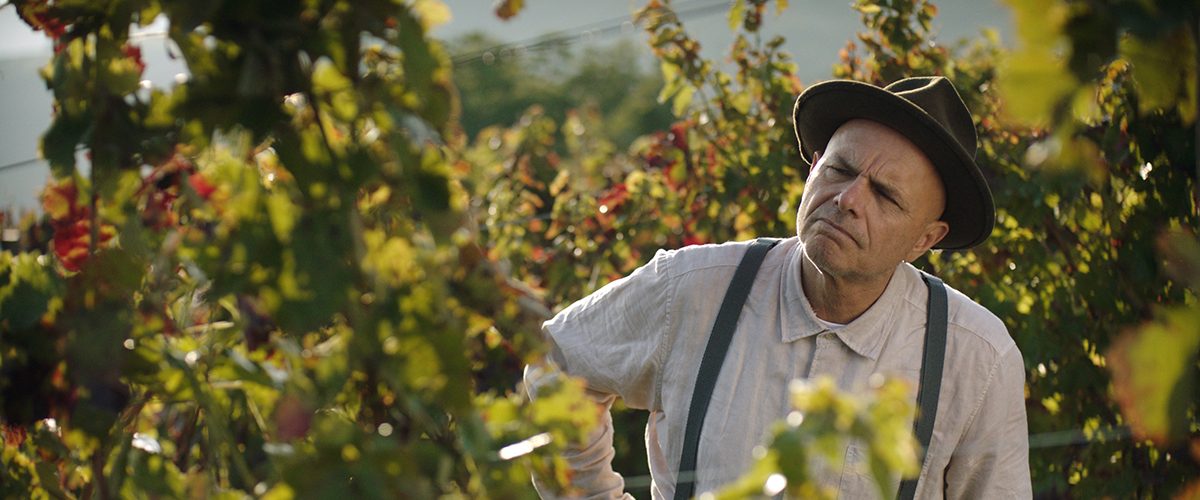 Joe Pantoliano in From the Vine
