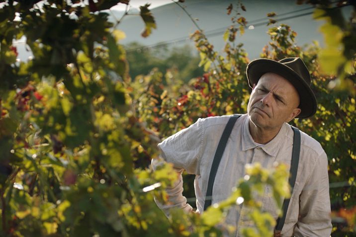 Joe Pantoliano in From the Vine