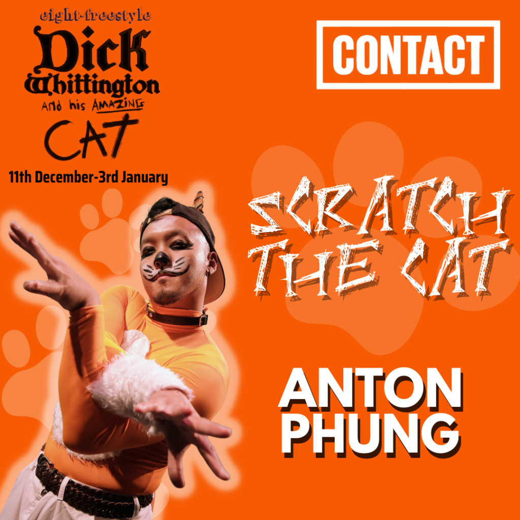 Dick Whittington and his Amazing Cat