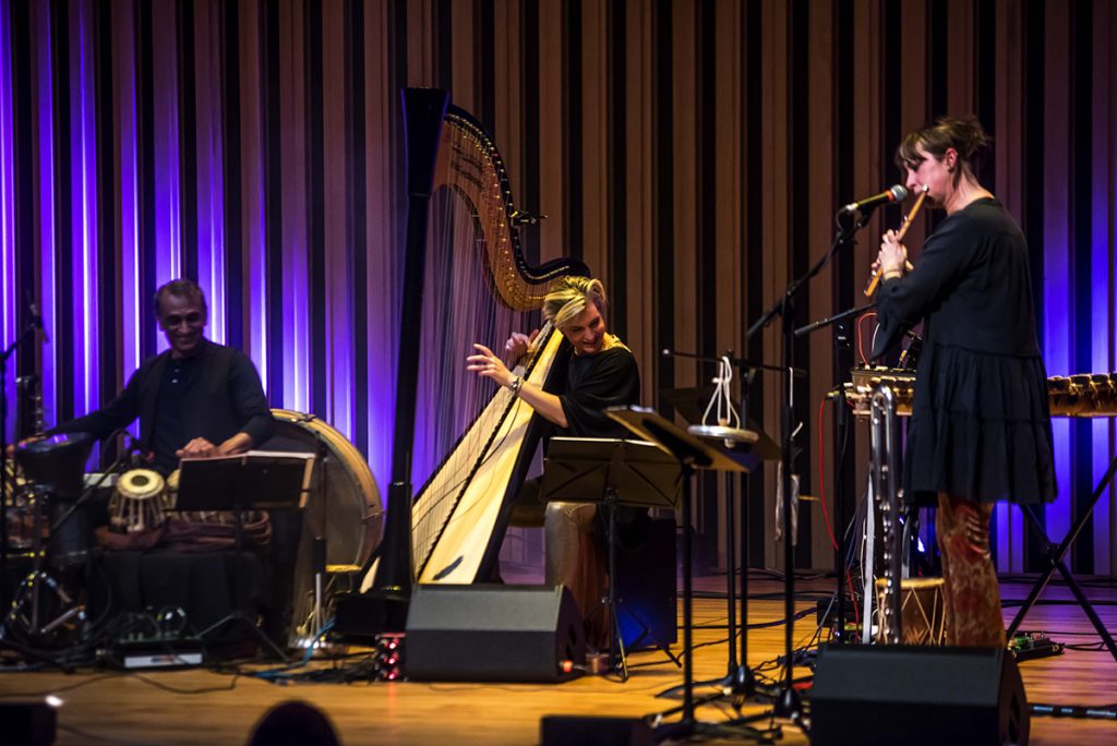 Freedom To Roam: The Rhythms of Migration at The Stoller Hall. Chris Payne Photography