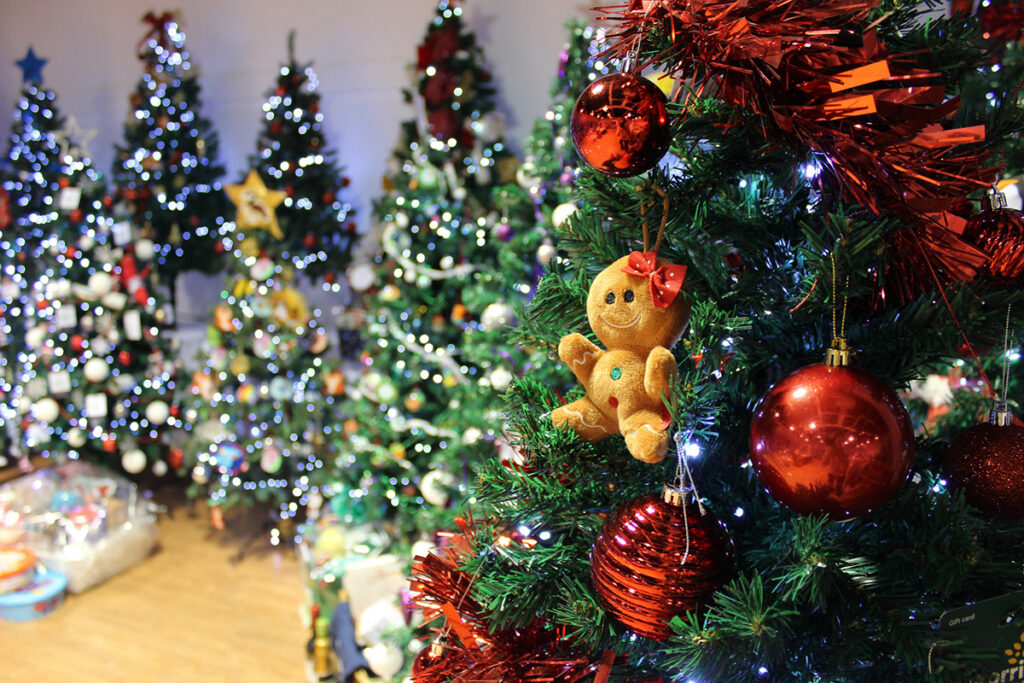 Francis House Festival of Trees