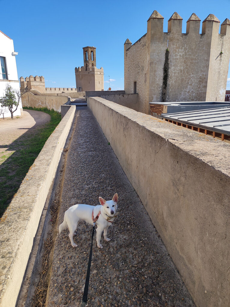 Aisha in Badajoz Spain
