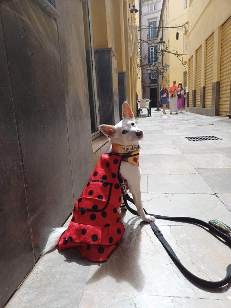 Aisha in Spain