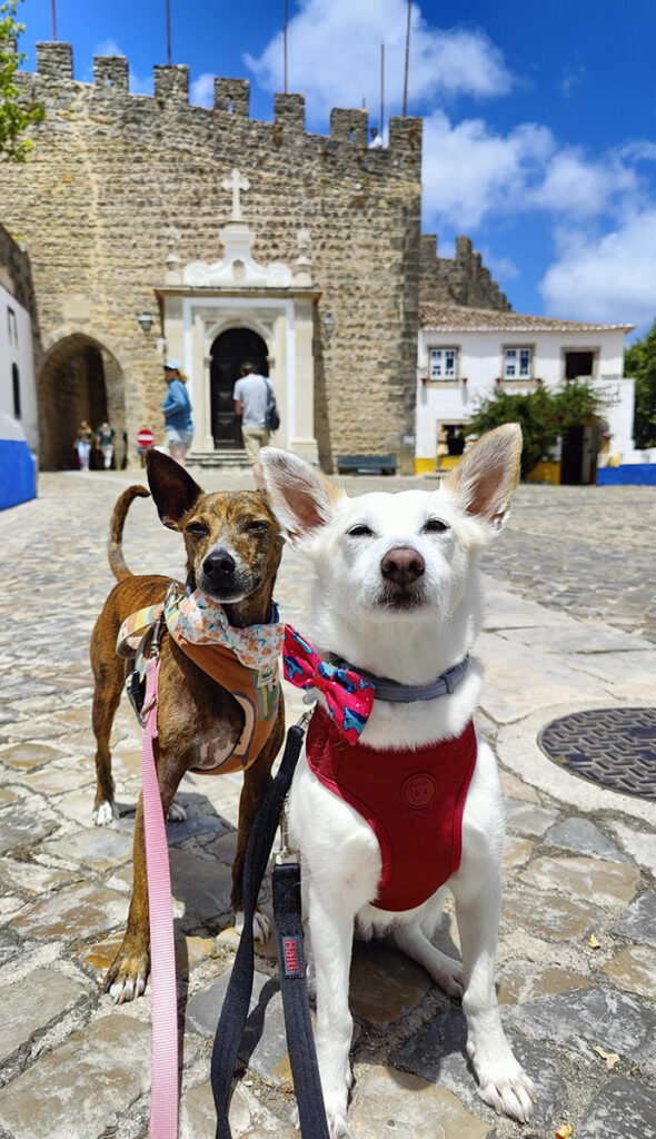 Melo & Aisha in Óbidos Portugal