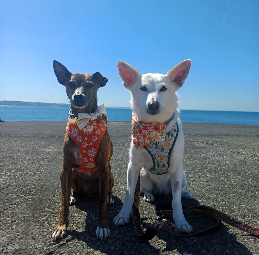Melo and Aisha