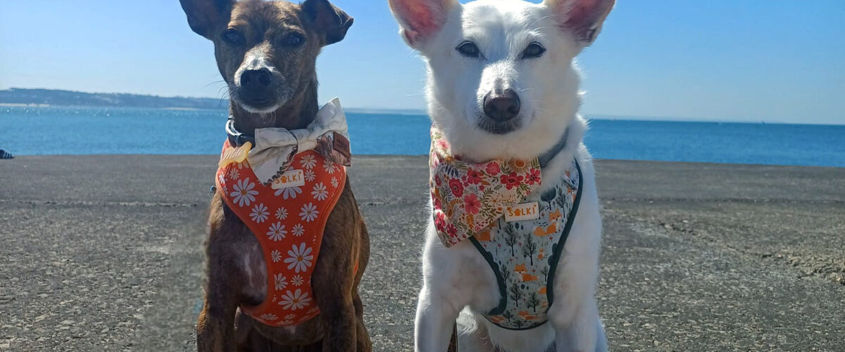 Melo and Aisha