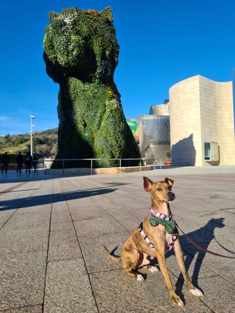 Melo in Bilbao