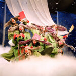 Slava Snowshow Greens on the ship by Veronique Vial