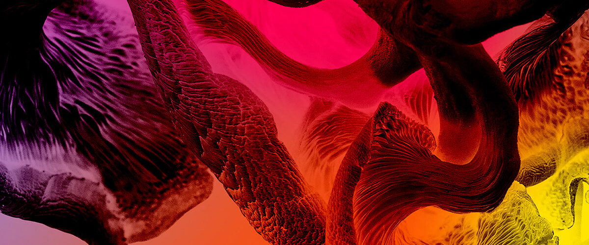 The Guardians of Living Matter