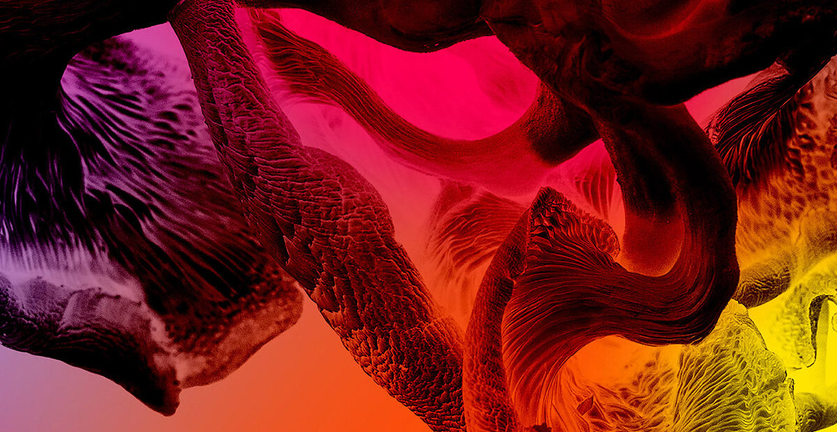 The Guardians of Living Matter