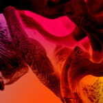 The Guardians of Living Matter