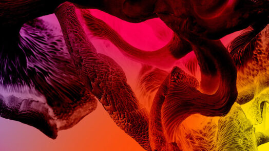 The Guardians of Living Matter