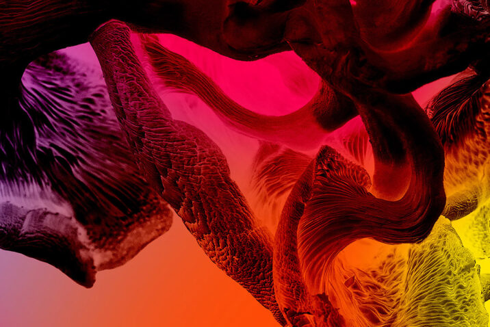 The Guardians of Living Matter