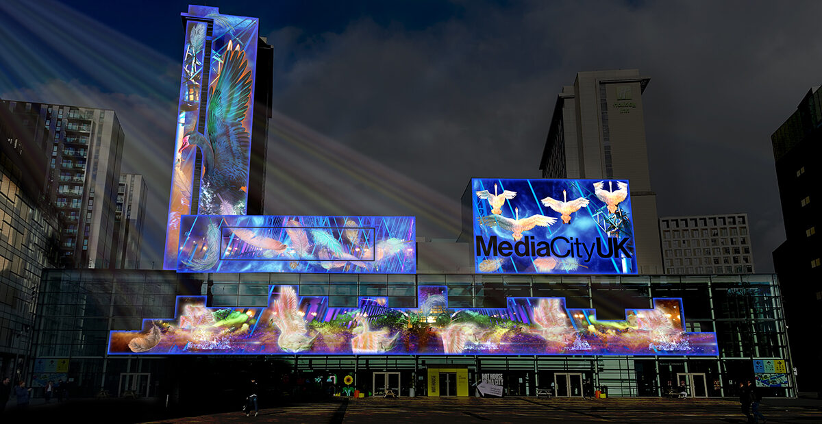 Hope is the thing with feathers (concept design) Illuminos