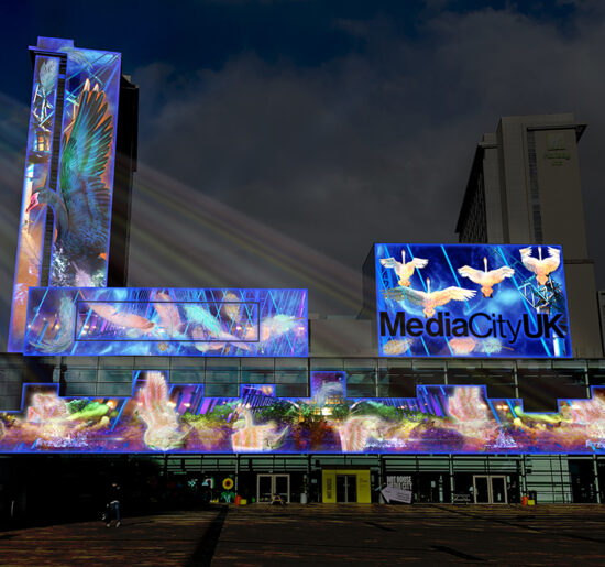 Hope is the thing with feathers (concept design) Illuminos