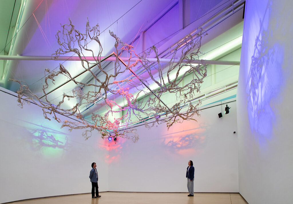 The Guardians of Living Matter. John-Paul Brown and Sophy King. Photo: Michael Pollard