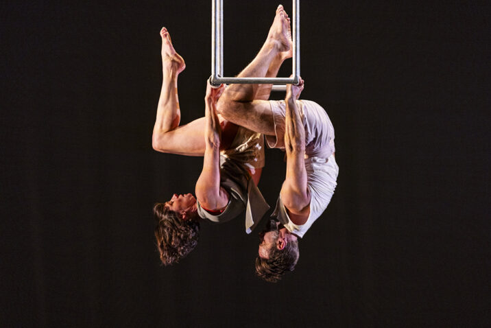 Collaborator by Ockham’s Razor CREDIT - Jamie Dennis