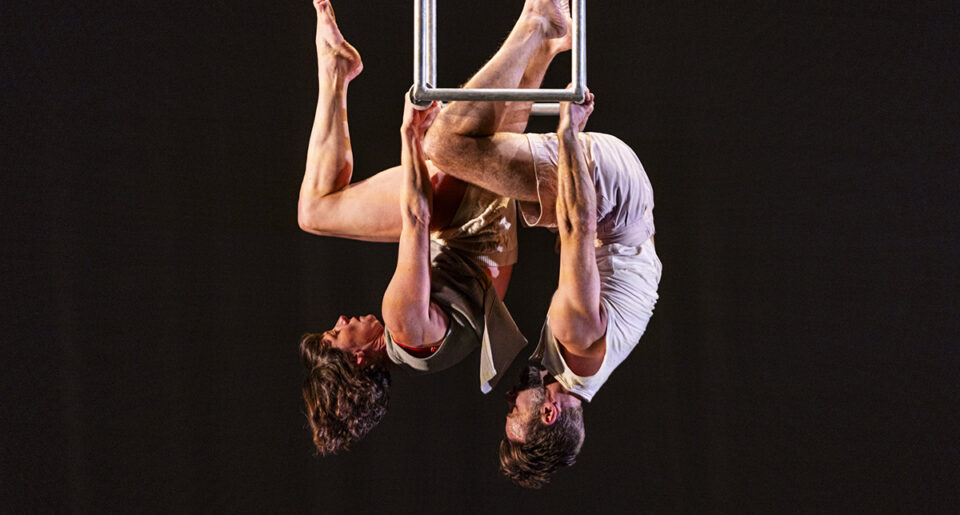 Collaborator by Ockham’s Razor CREDIT - Jamie Dennis