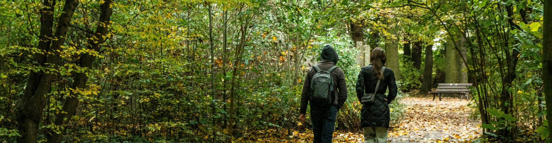 Photo by SHOX art: https://www.pexels.com/photo/couple-walking-through-autumn-forest-pathway-34360440/