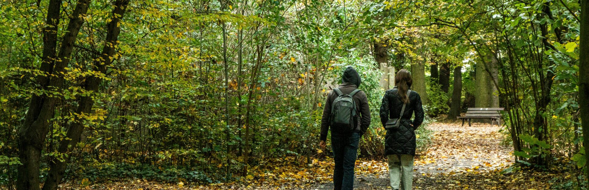 Photo by SHOX art: https://www.pexels.com/photo/couple-walking-through-autumn-forest-pathway-34360440/