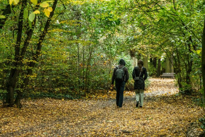 Photo by SHOX art: https://www.pexels.com/photo/couple-walking-through-autumn-forest-pathway-34360440/