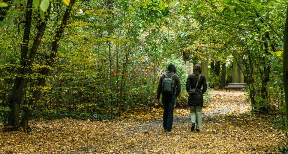 Photo by SHOX art: https://www.pexels.com/photo/couple-walking-through-autumn-forest-pathway-34360440/