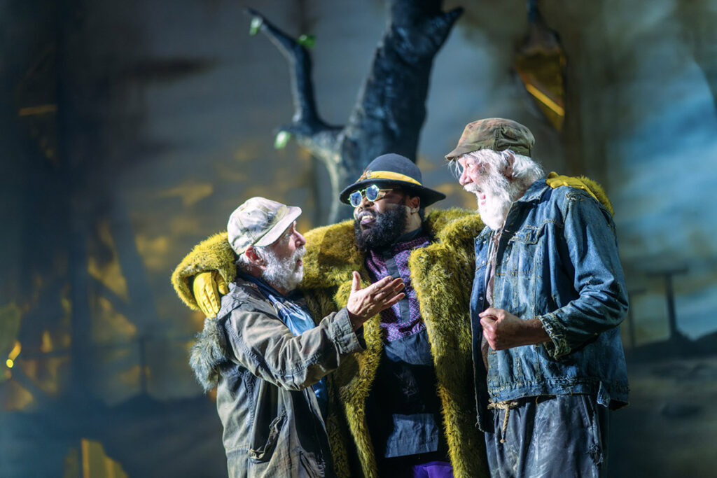 Waiting for Godot credit Mihaela Bodlovic