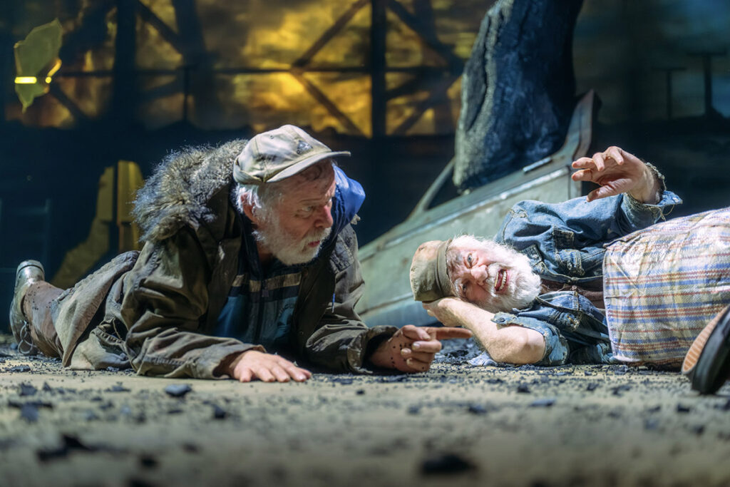 Waiting for Godot credit Mihaela Bodlovic
