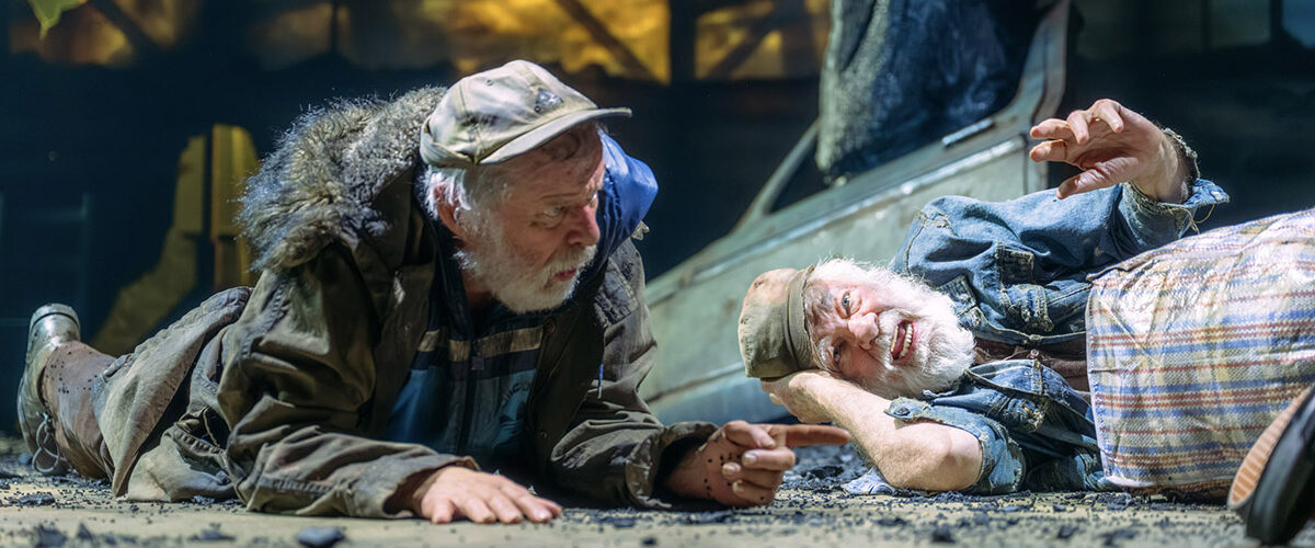 Waiting for Godot credit Mihaela Bodlovic