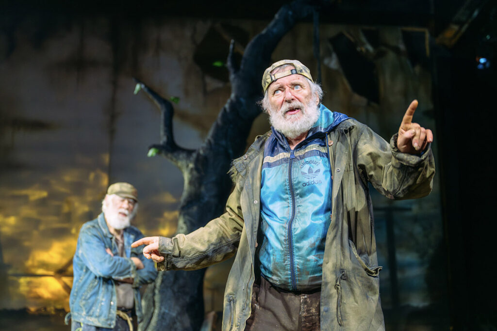 Waiting for Godot credit Mihaela Bodlovic