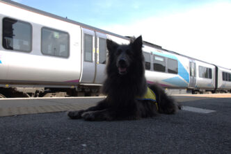 Nya, TPE's Pets as Therapy Dog. Photo courtesy of Transpennine Express