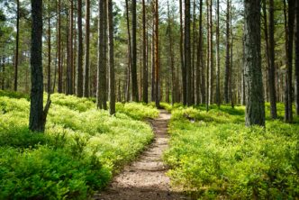 Kaberneeme, Harju County, Estonia. Photo by Maksim Shutov on Unsplash