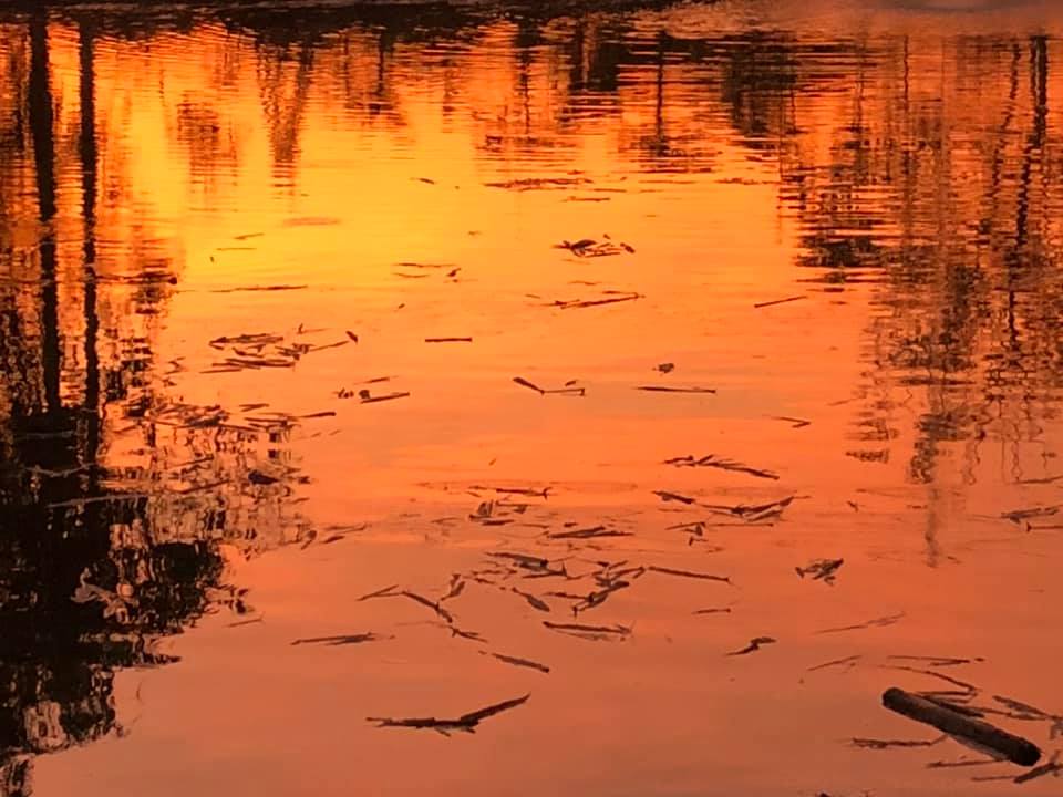 Thailand: Sunset on the Lake
