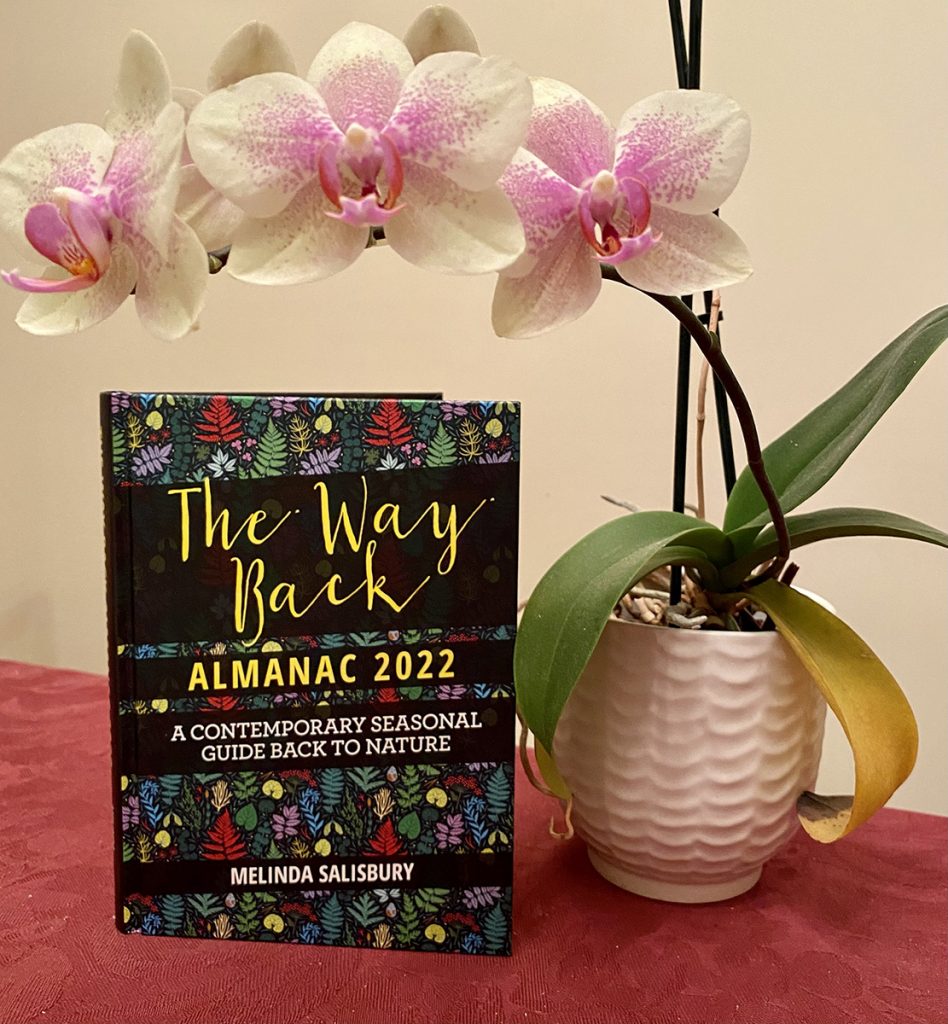 The Way Back Almanac 2022