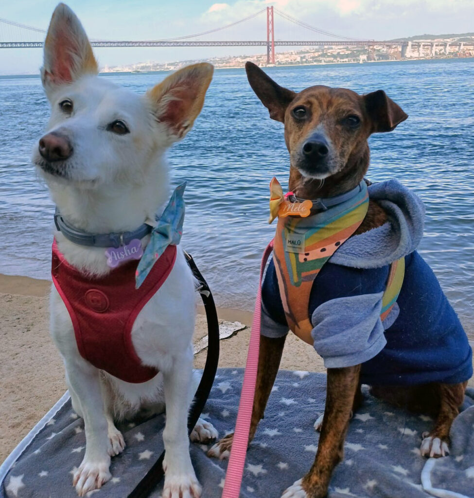 Melo & Aisha with Lisbon bridge behind